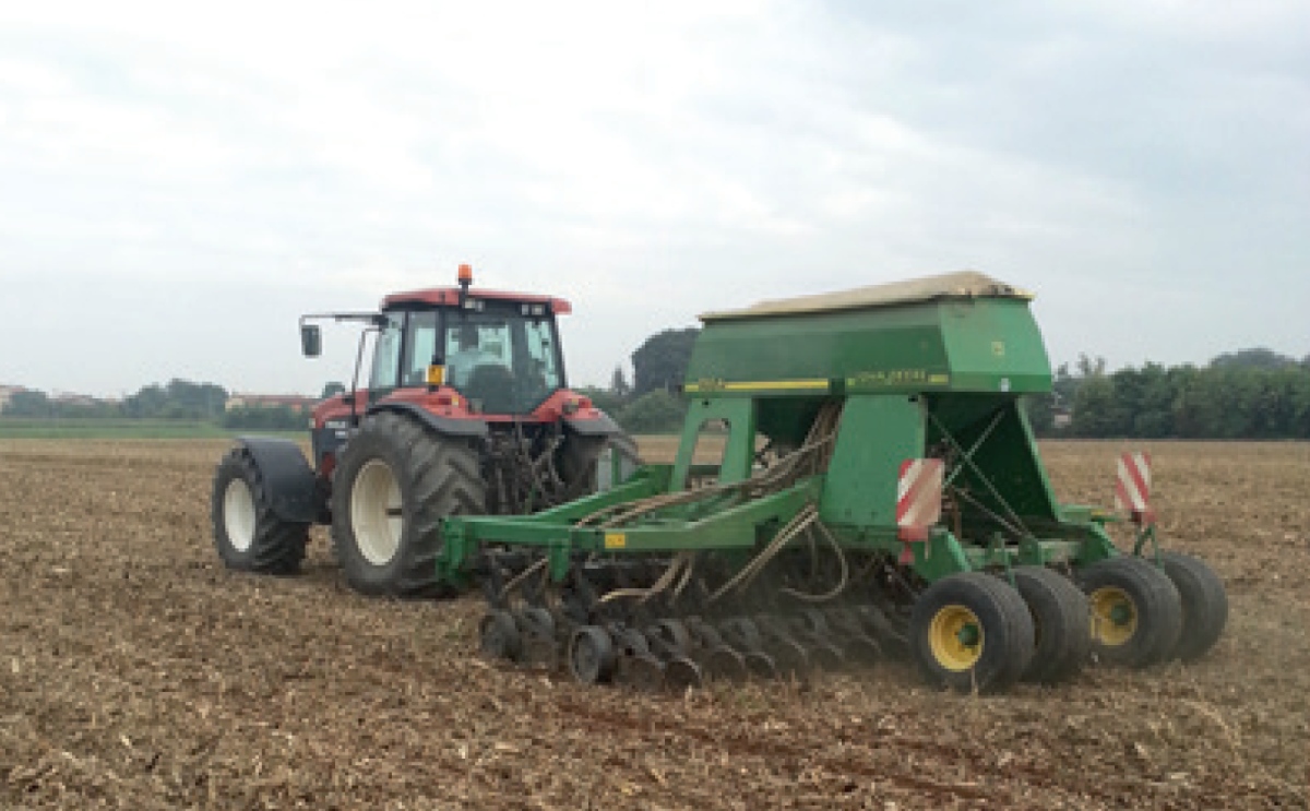 Semina diretta di cover crop su residui di mais da granella